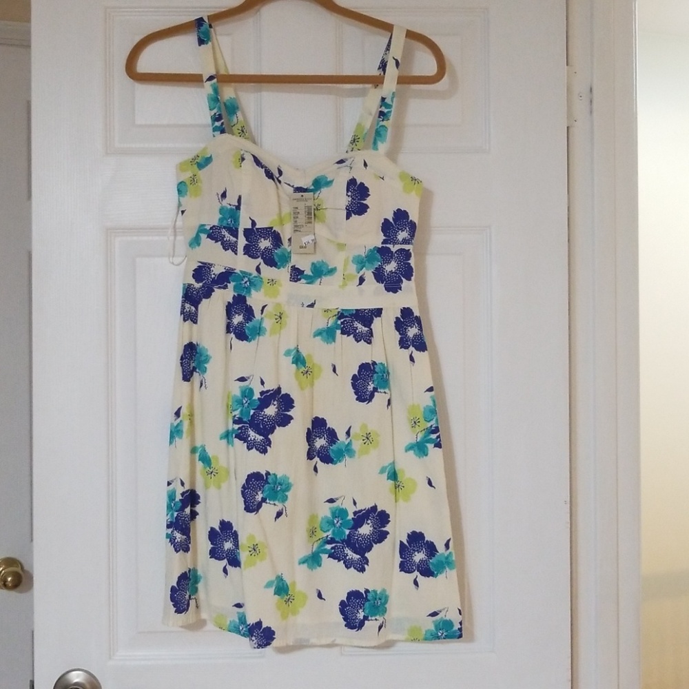 American Eagle dress never worn! Flowers on dress